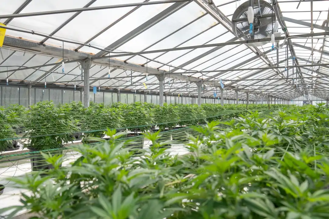 重庆健身服饰面料工艺升级：舒适性与功能性的技术解析
