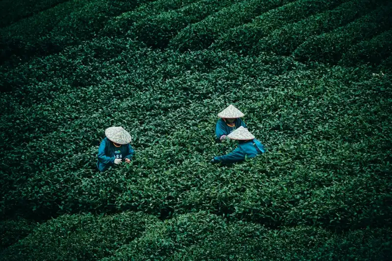 重庆运动装备选购指南：千娱音健身服饰功能解析